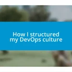 How I structured my DevOps culture