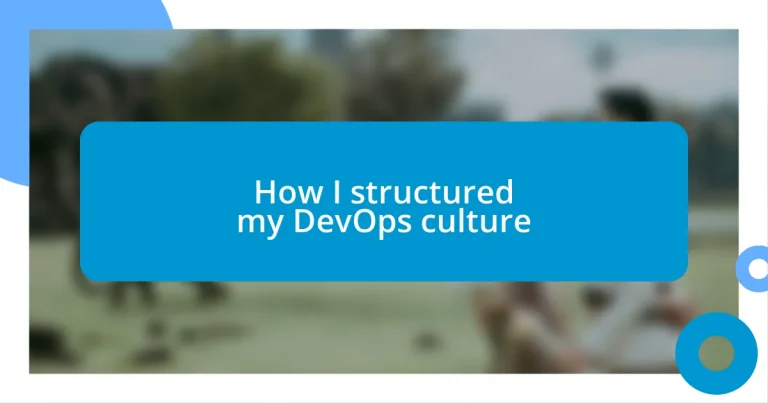 How I structured my DevOps culture